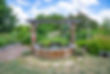 Fish & Lily Pond