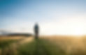 Man walking towards sunlight in field
