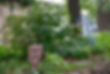 Shade Garden