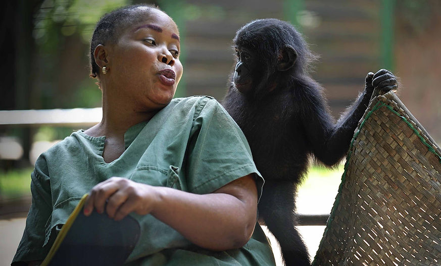 mère-de-substitution-jouant-avec-bébé-bonobo
