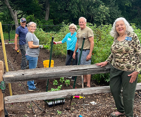 TCMGA members working in garden