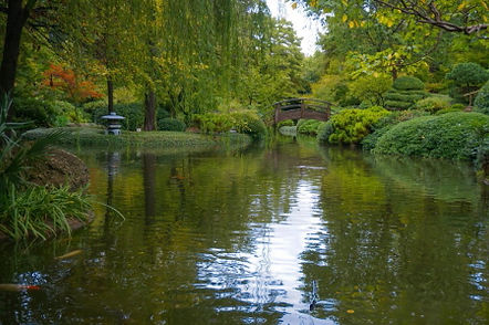 FWBG Japanese Garden