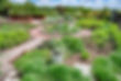 Herb Garden