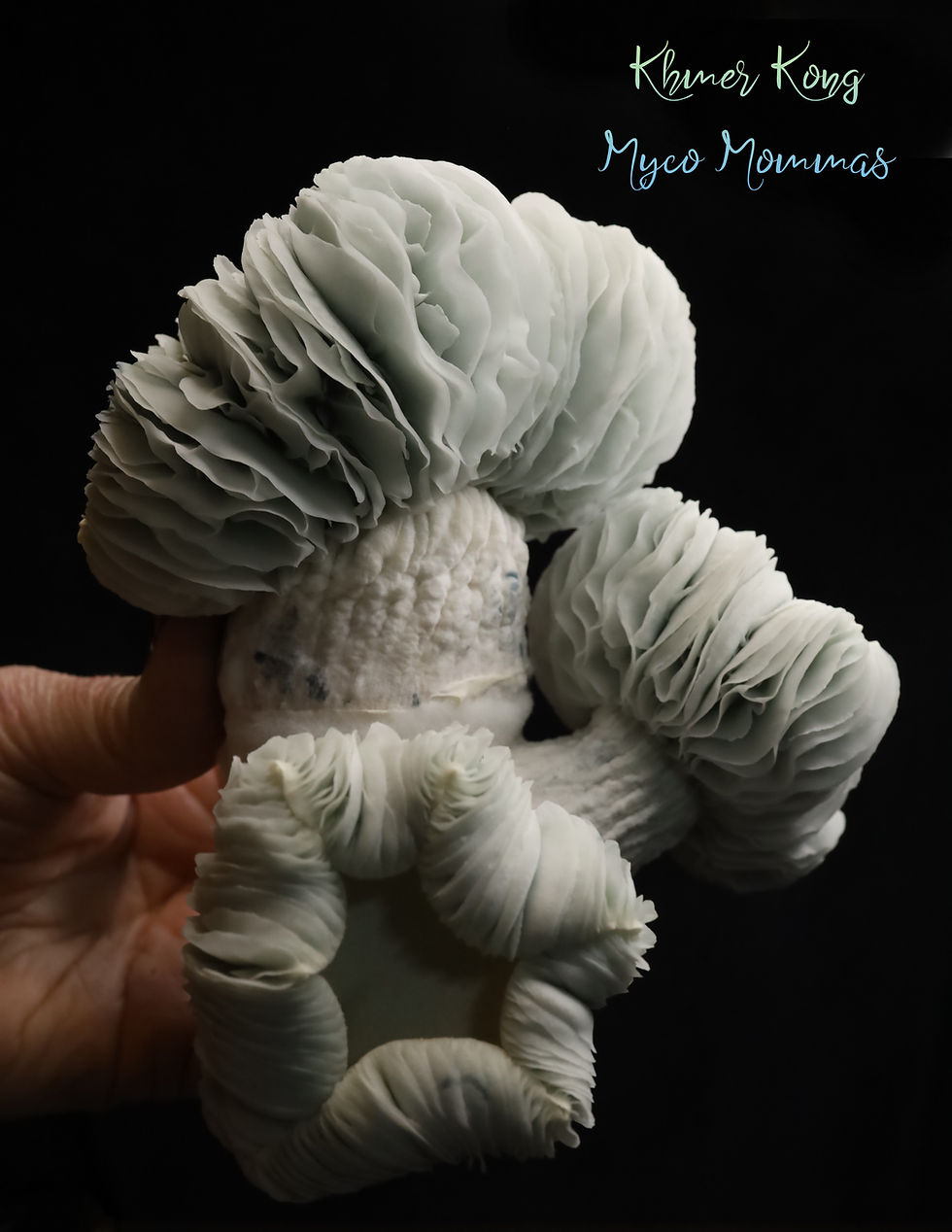 Thumbnail: Khmer Kong - Research Genetics