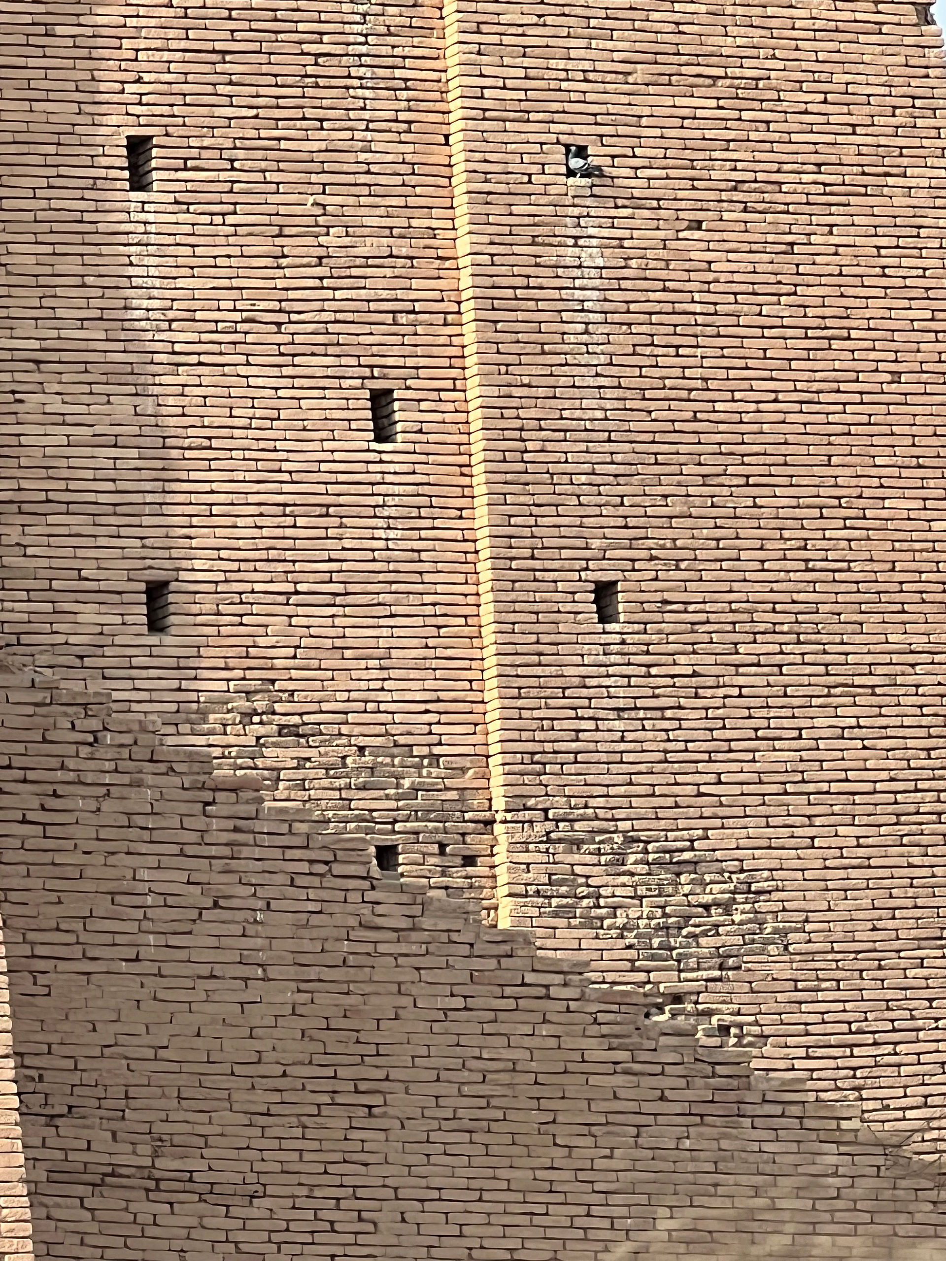 wall details with openings