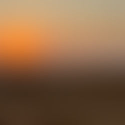 UAE desert sunset