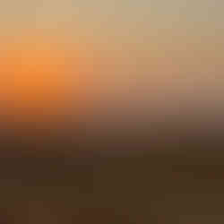 UAE desert sunset