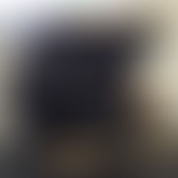 [2017] Elastica surface generation of curved-crease origami