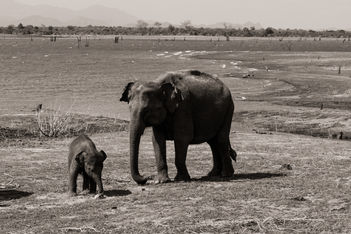 photographe mariage shooting corporate sport brabant wallon