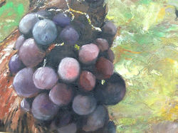 Crno grozdje - detalj_ulje na speri 10x15