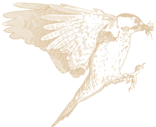 2307-RVCCD-Illustrations-Gold_RCW-2_edit