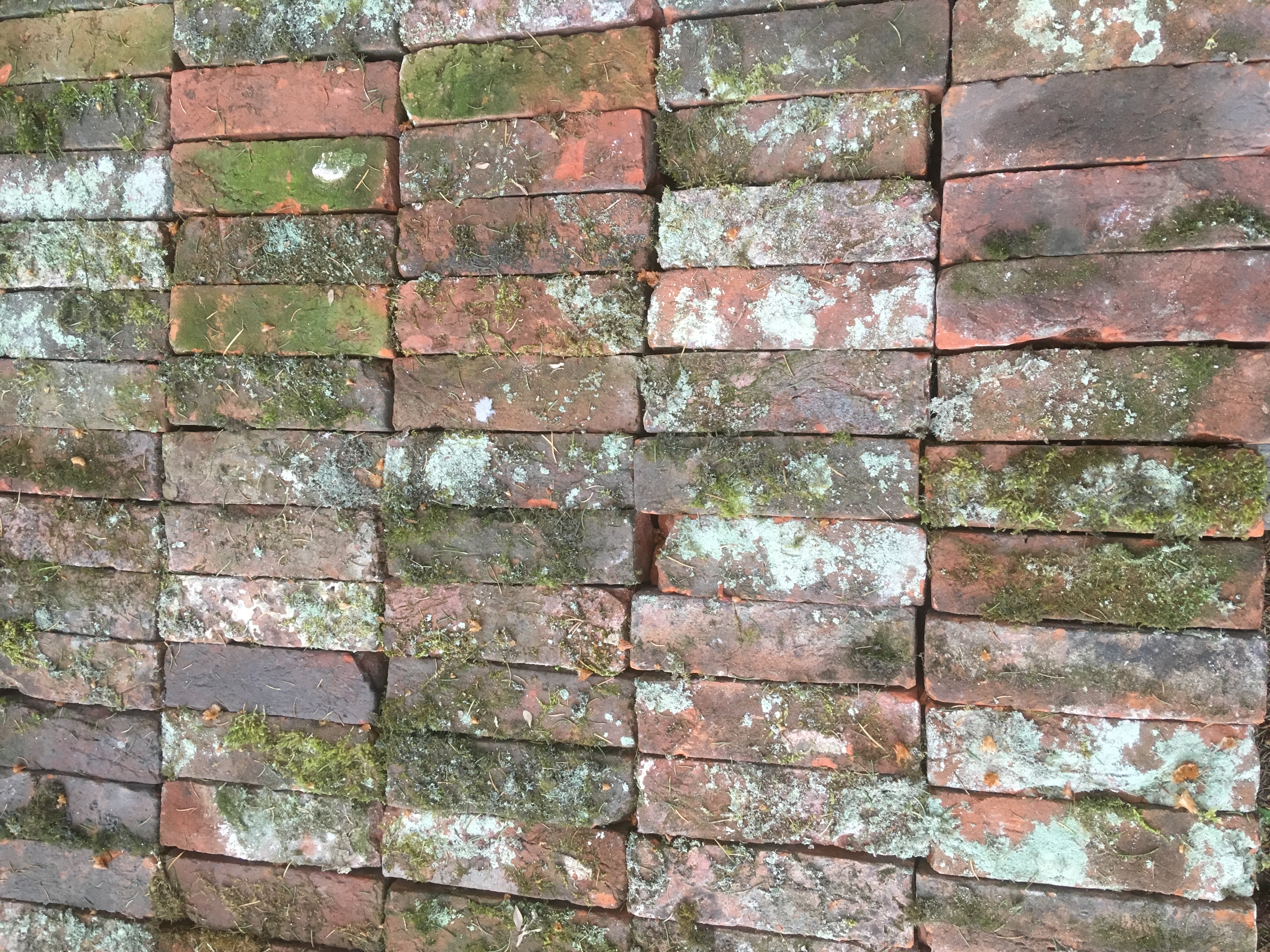 Fabulous old bricks