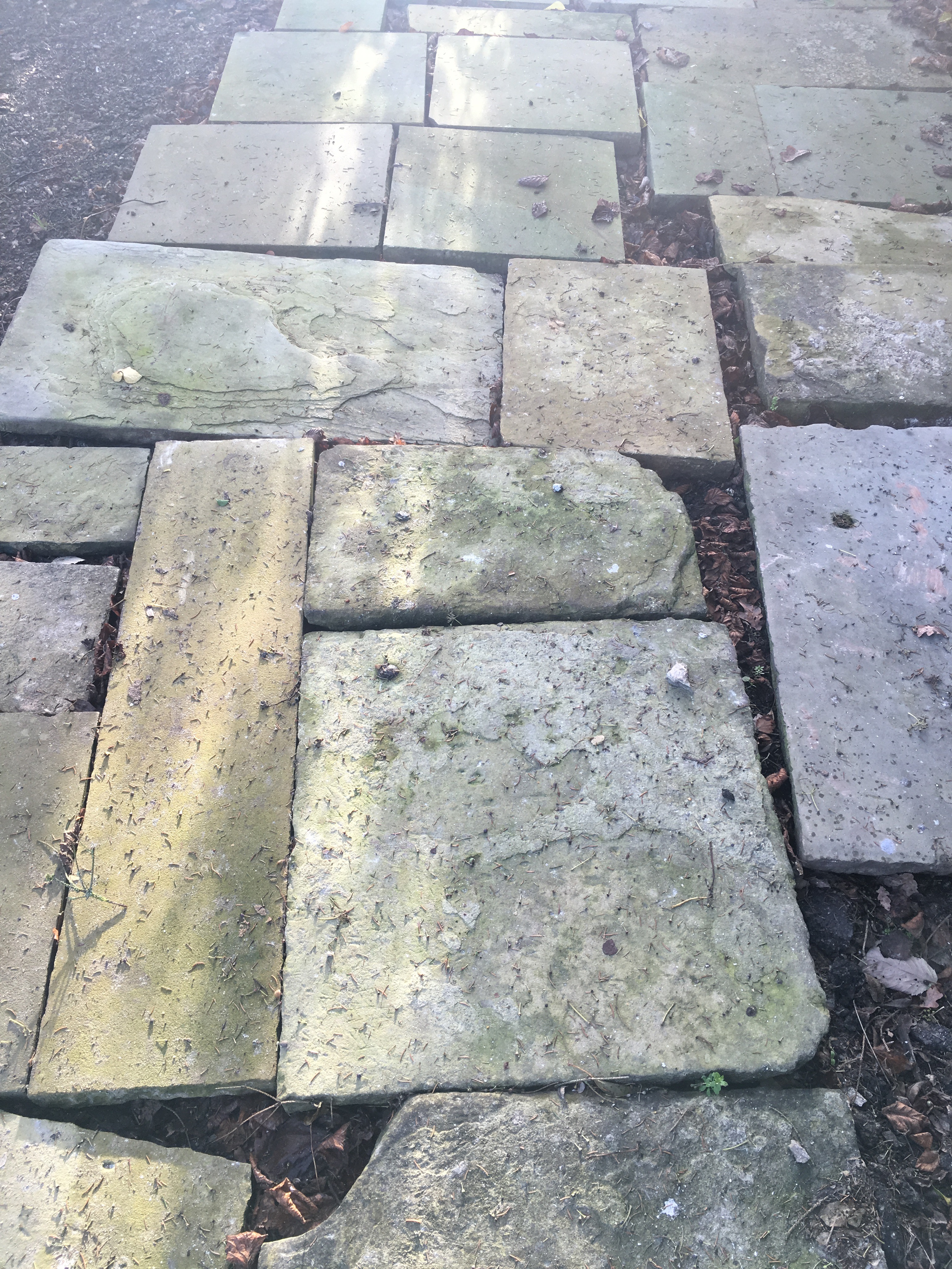 Flag Stones