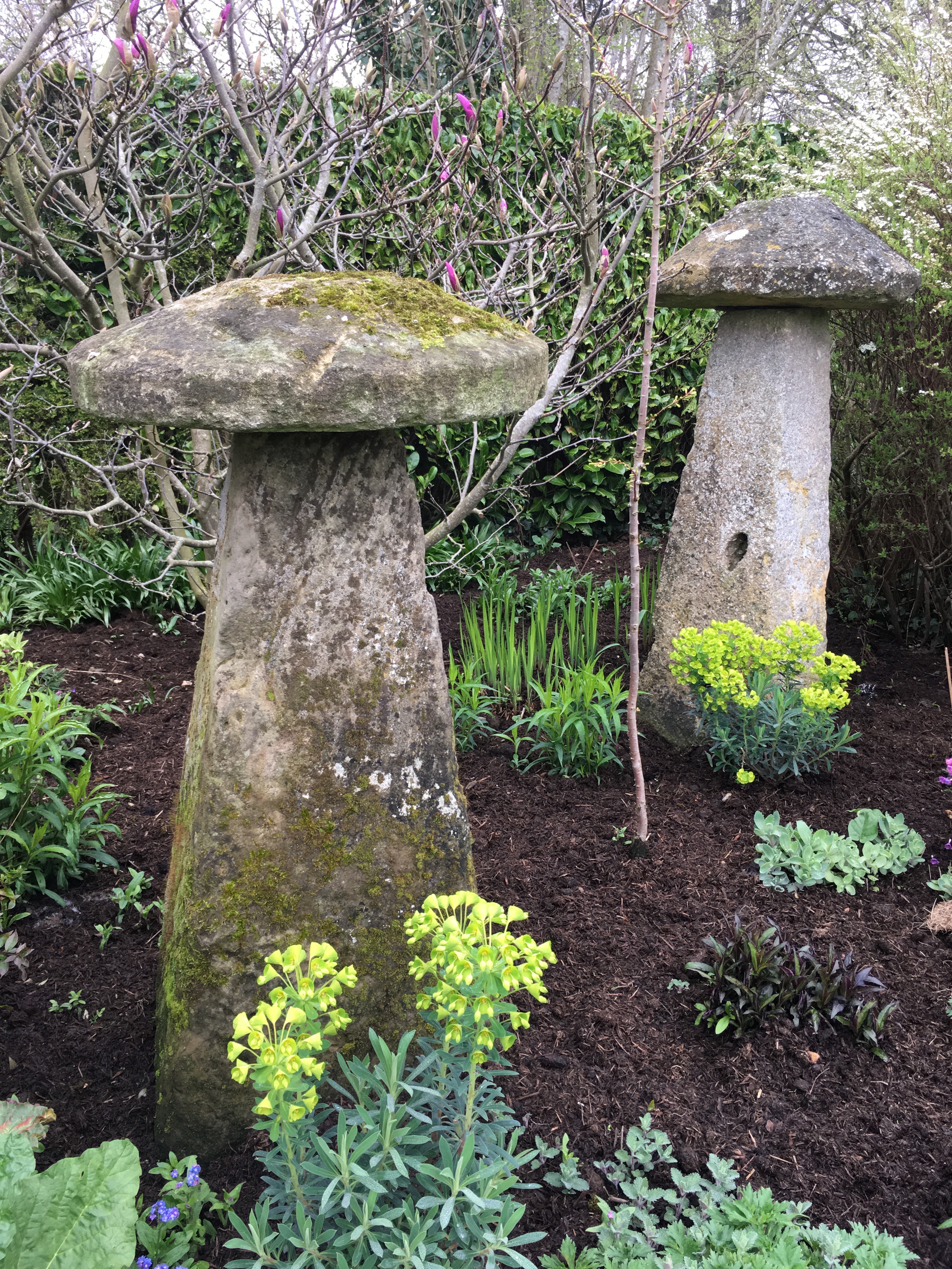 Mossy Staddle stones