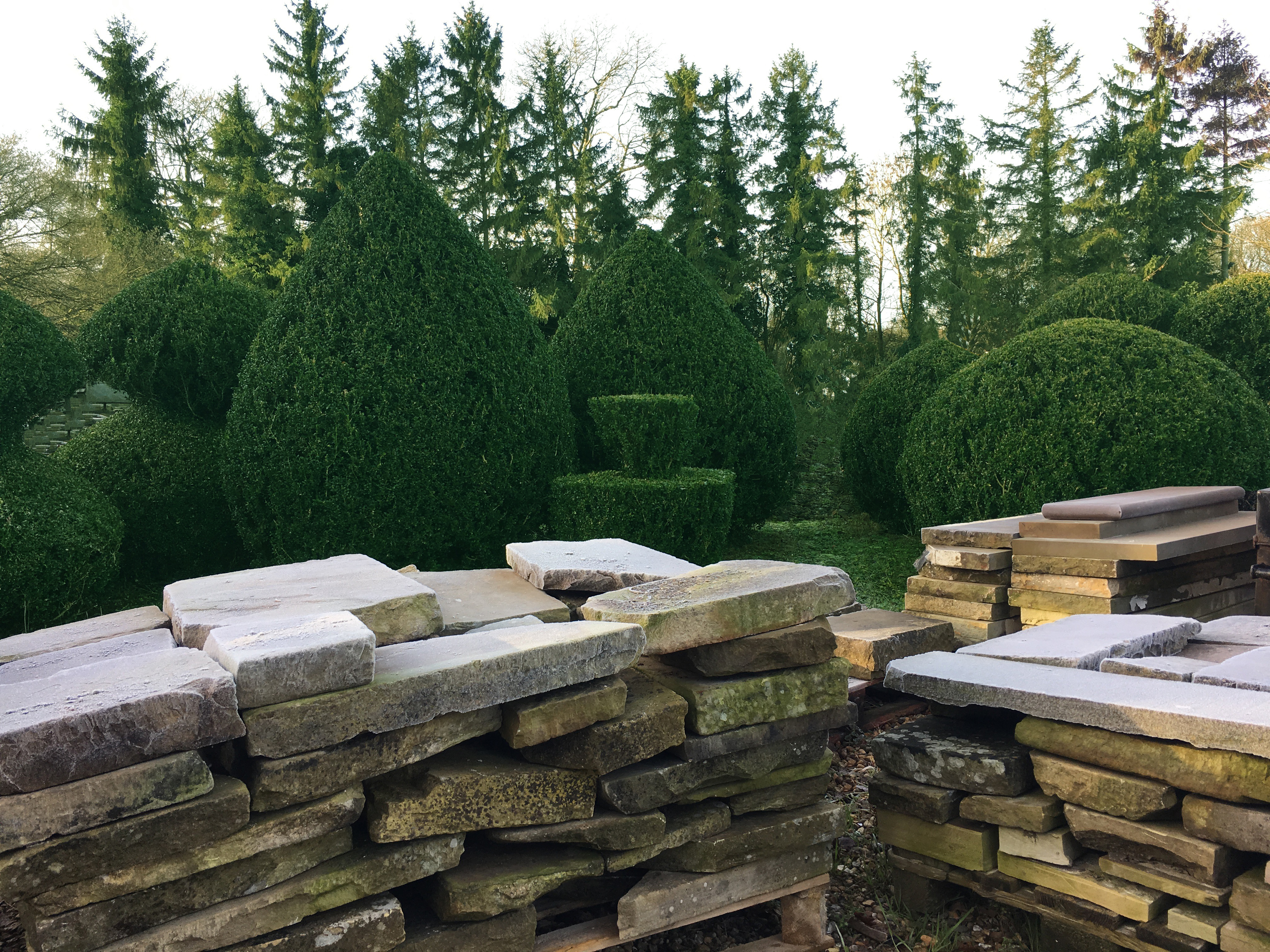 Stunning topiary & York flag