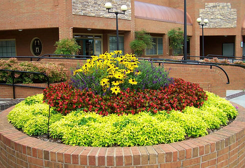 layered annuals.jpg