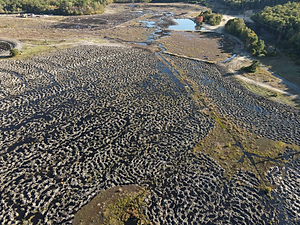 Aerial photo of project site