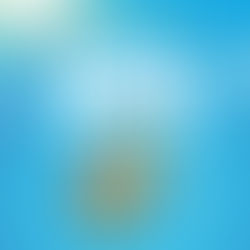 May Erlewine Sonic Lunch