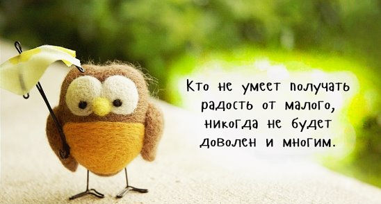 Маленькие радости