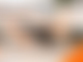 Man doet bird dog op yogamat in lichte woonkamer; infographic met tips voor onderrugtraining en tekst Zo doe je de bird dog.