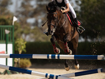 AdobeStock_221140595.jpeg