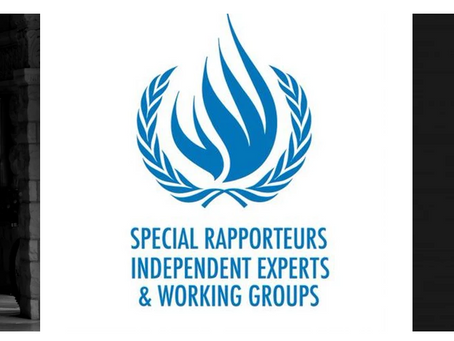 Press Statement: Urgent Communication Submitted to the UN Special Procedures - Christian Michel