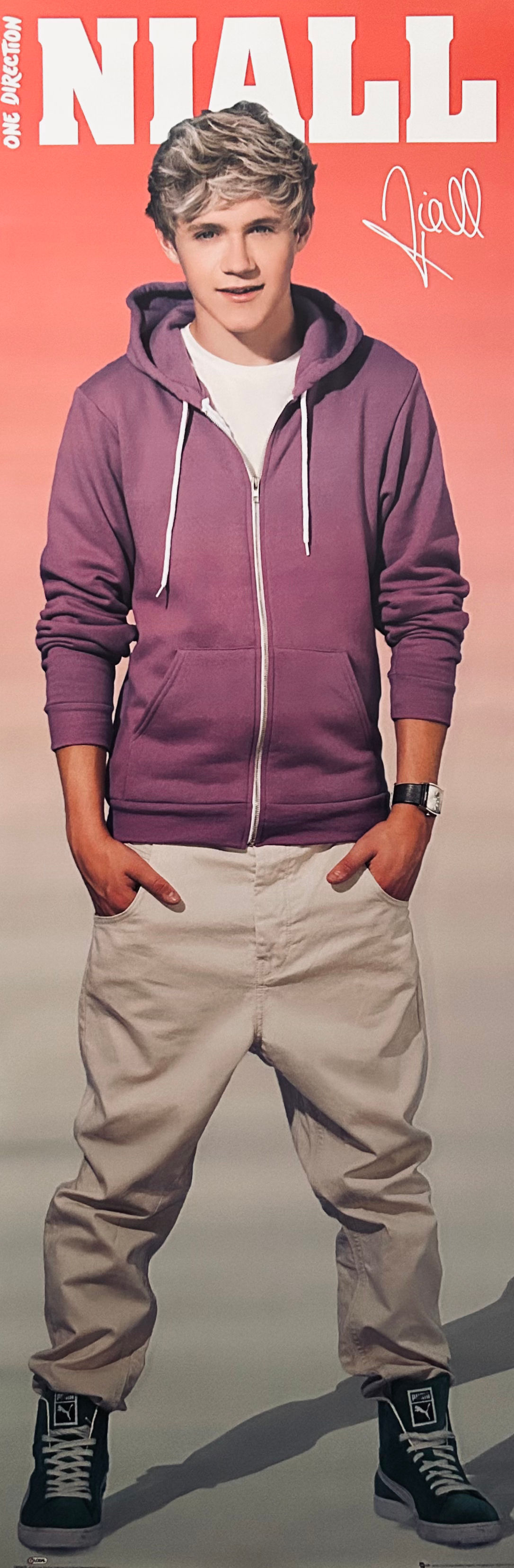 1D One Direction - Niall
