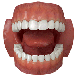 dentadura.gif