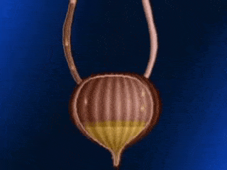 13d485be-f3f6-4c30-b3a8-63aa7e474a22.gif