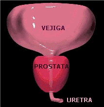dK93GFPCa1uBRvziaiyPKGzmwD2TPHxDDUKU-n7e8RHW1Bhl_7ZCHnBZKWo9gJIARekwcWSRg4-KokGnRErDjjgoea