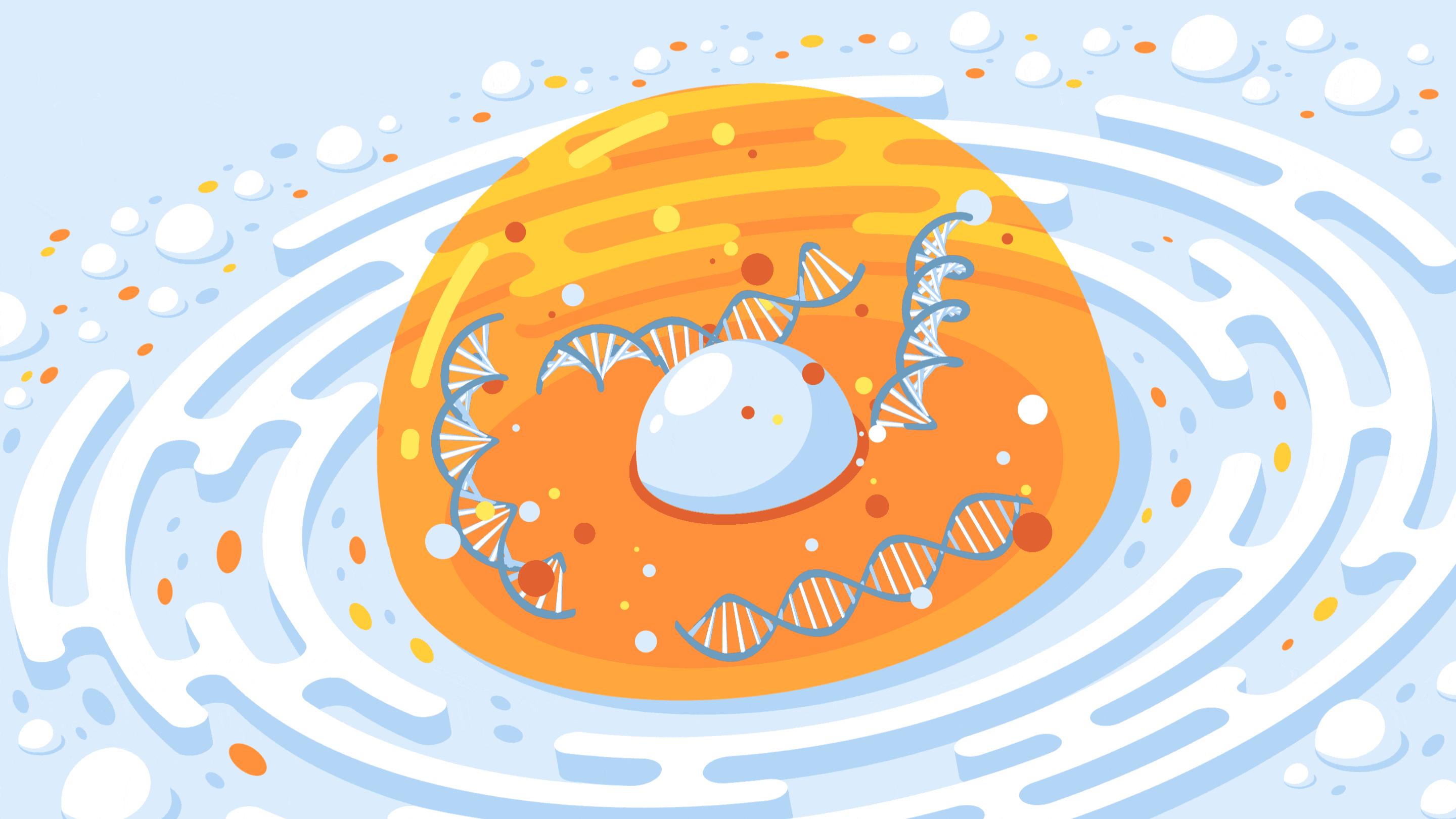 NucleusDNA_2880x1620_v2.gif
