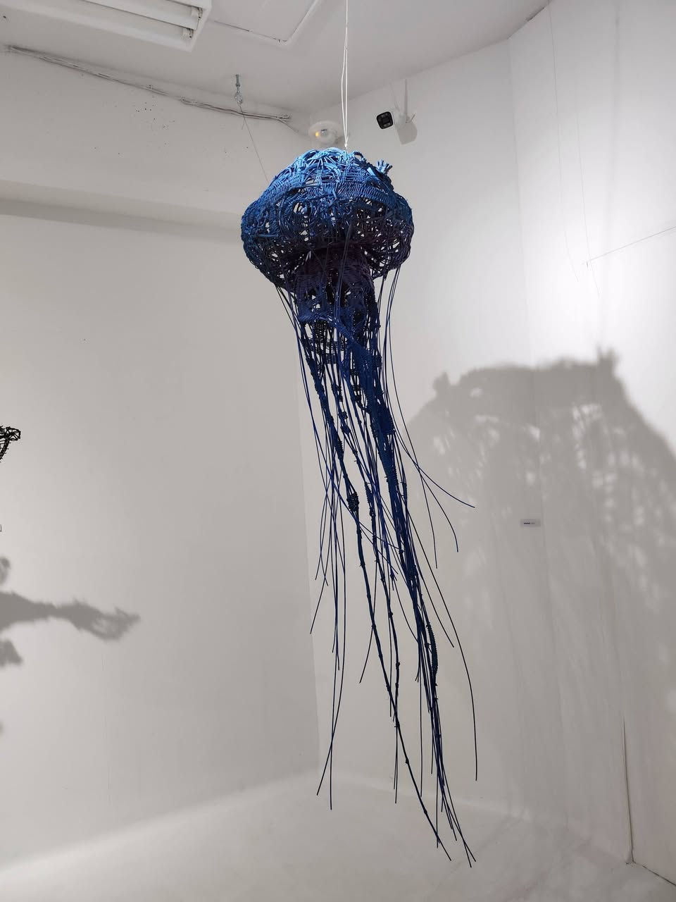 作品