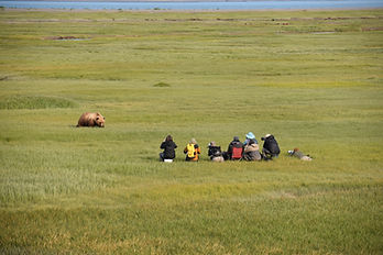 Guests and photographers enjoying the company of our bears