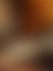 Harnessing the Quiet Power of Introverts