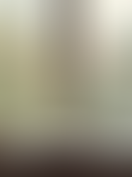 Understanding the Daily Life of Introverts: A Peek into Introverts Dailies