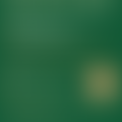 NEXT MEET 4/12/26: (Second Sunday Monthly) Support in Spirit