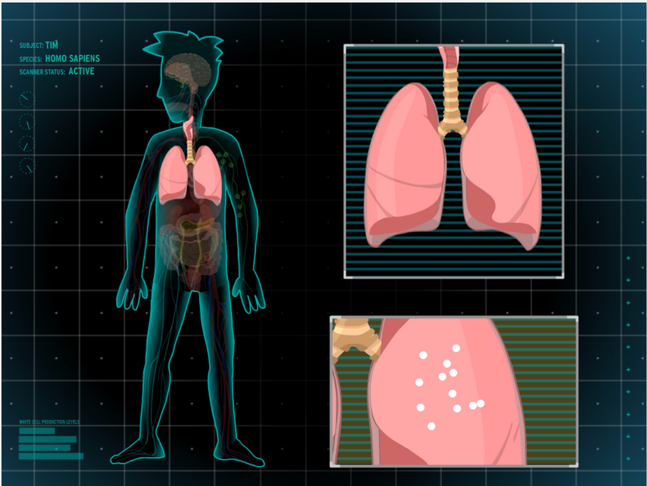 Illustration from BrainPOP's Body Systems topic showing an X-ray style view of a human body with internal organs highlighted, alongside detailed close-ups of the lungs and stomach.