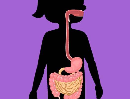 Illustration from BrainPOP Jr.'s Digestive System topic showing a silhouette of a child with the esophagus, stomach, and intestines highlighted in detail.