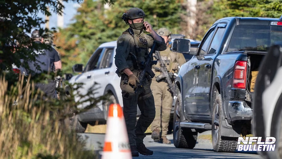 SECOND MAN ARRESTED FOLLOWING TORBAY ASSAULT AND FIREARMS INVESTIGATION