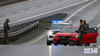 STOLEN HONDA FLEES, STRIKES POLICE VEHICLE