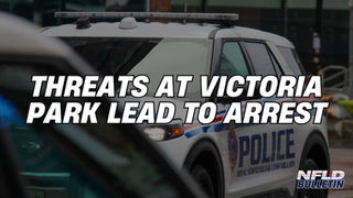 THREATS AT VICTORIA PARK LEAD TO ARREST