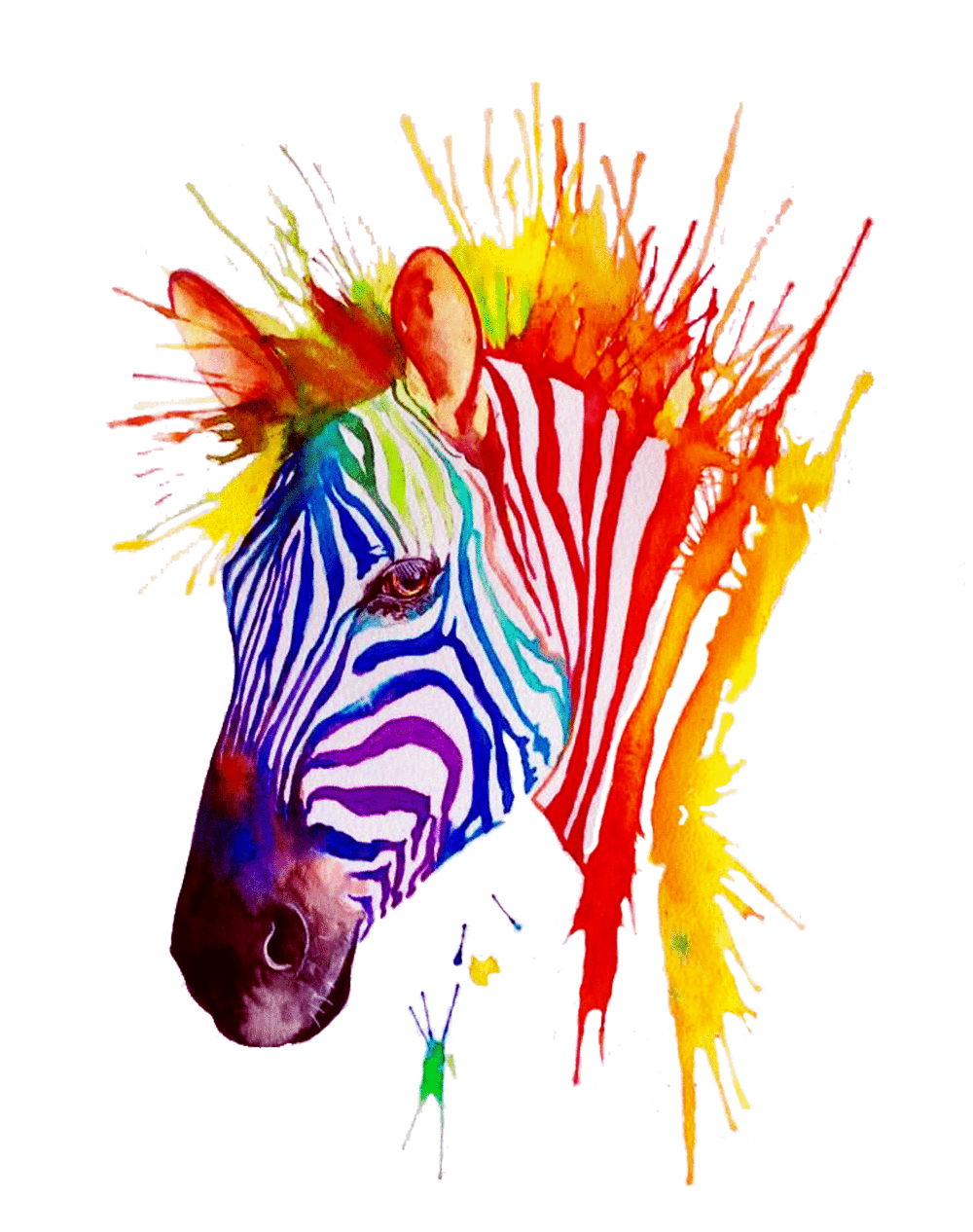 zebre Aquarelle