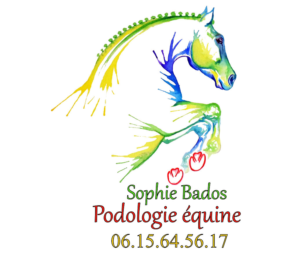 logo Sophie