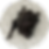 コウモリの画像