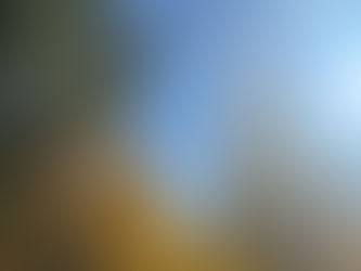 🌸春のご入会キャンペーン🌸