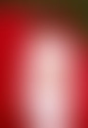 Рианна может сняться в новом фильме о Бонде