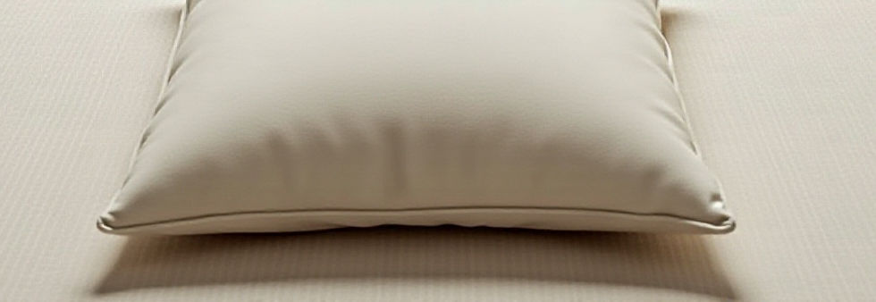 Home-Our Mission-2.jpg