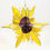 Thumbnail: Sunflower Spinners
