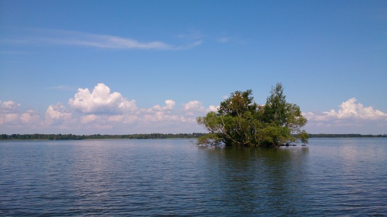 Katrinelund