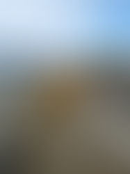 Vindpustet og stenen